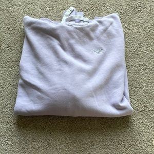 Mens Hollister Hoodie